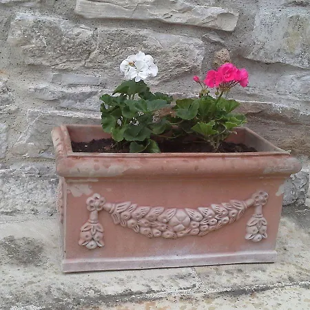 Gospodarstwo agroturystyczne Il Casalone Badia Tedalda